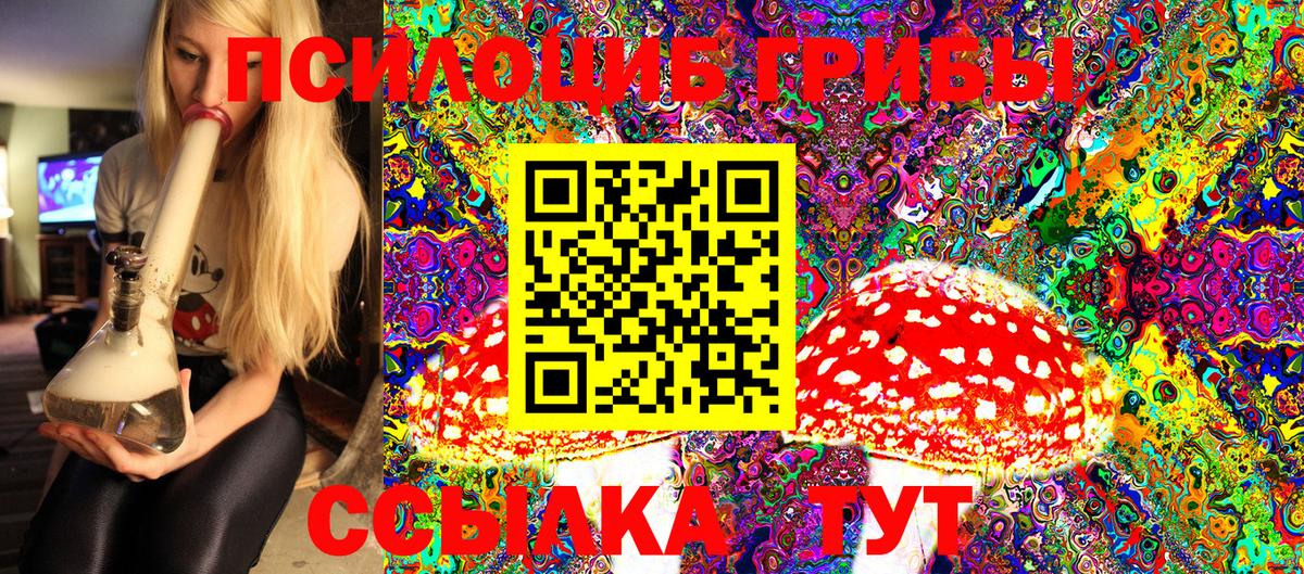 Галлюциногенные грибы Cubensis  Псилоцибиновые грибы мицелий  Калуга  где найти   Вход с VPN 