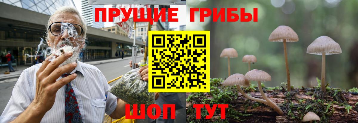 Псилоцибиновые грибы мицелий Калуга