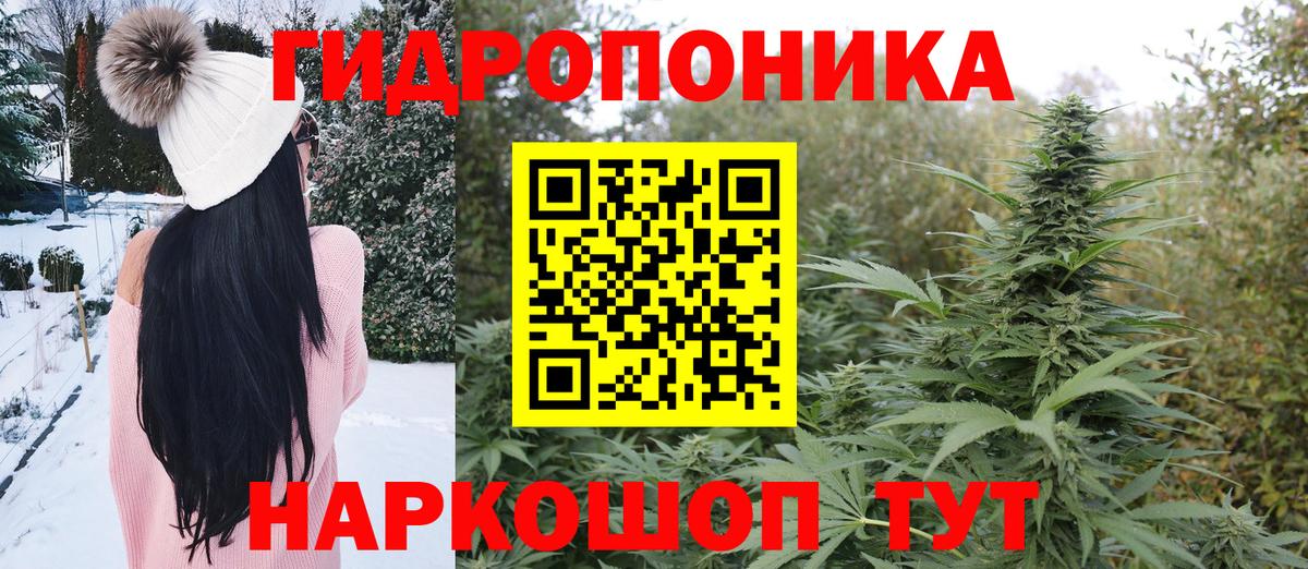 Каннабис гибрид Калуга